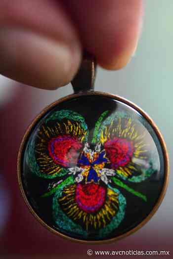 Da inicio el Festival Internacional de la Orquídea en Coatepec - AVC Noticias