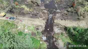 Companies fined after beaver dam removal floods Nesslin Lake in northern Sask.
