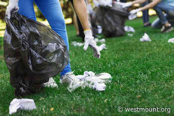 The Big Cleanup at Westmount Park - April 22 - City of Westmount - Ville de Westmount