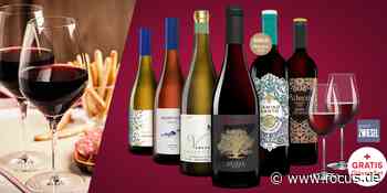 Erstklassige spanische Weine im Probierpaket - FOCUS Online