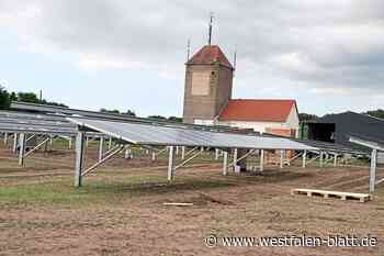 Photovoltaik in Stemwede: Investoren sind heiß auf Freiflächen - Westfalen-Blatt