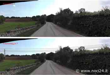 Nuovo elettrodotto a Noci, le associazioni si oppongono - NOCI24.it