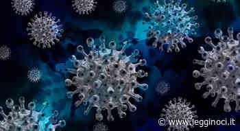 Variante XE: timori e conoscenze attuali - LeggiNoci.it