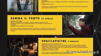 A Noci la rassegna "La Terra" con quattro pellicole girate in Puglia - BariToday