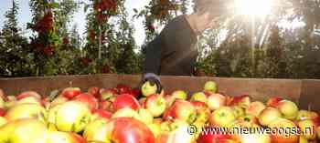 Brussel verwacht grotere appeloogst en meer verwerking - NieuweOogst.nu