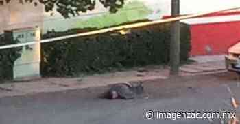 Policiaca Zacatecas: Cadáver baleado queda a media calle en Fresnillo - Imagen de Zacatecas, el periódico de los zacatecanos