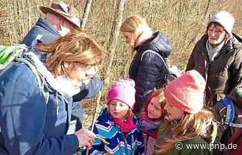 Naturstreife: Auf der Suche nach Frühjahrsboten - Plattling - Passauer Neue Presse - PNP.de