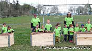 Waldkita in Ebhausen - Die Waldwichtel feiern ihren ersten Geburtstag - Schwarzwälder Bote