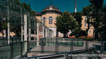 Elezioni Asugi: nell'Isontino è trionfo Uil, a Trieste la Fials respinge l'assalto - TriestePrima