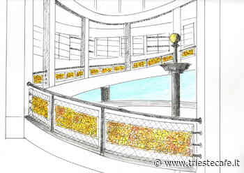 Mercato Coperto, a Trieste 1000 rose gialle per sensibilizzare sull'endometriosi - triestecafe.it