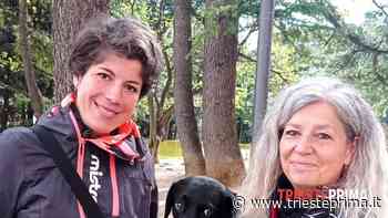 "Un’area sgambamento cani in ogni rione", la richiesta di Adesso Trieste - TriestePrima