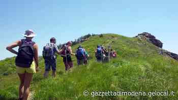 Appennino da Modena e Reggio. Il parco mette in vetrina i suoi sentieri più belli: ecco il sito delle escursioni - La Gazzetta di Modena