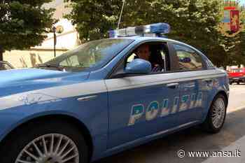 Spray urticante in discoteca a Modena, panico e due arresti - Agenzia ANSA