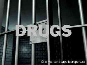 Edson RCMP arrest male for drug trafficking – Canada Police Report - Canada Police Report
