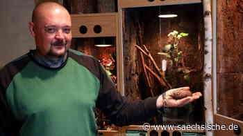 Der Mann, der in Riesa Schnecken und Störche füttert - Sächsische.de