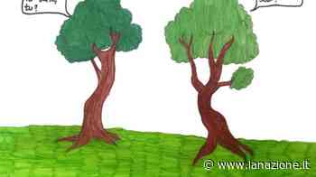 Scuola Secondaria di primo grado Istituto comprensivo di Vinci - LA NAZIONE