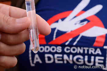 Sobe para 23 o número de focos de dengue em Imbituba - Notisul