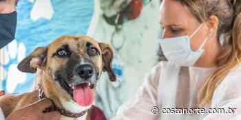 Castramóvel atende peludos de três bairros de Bertioga até junho - Costa Norte