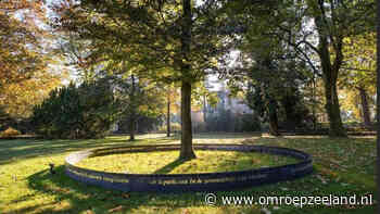 Terneuzen krijgt een 'covidboom': 'een boom voor kracht, hoop en leven' - Omroep Zeeland