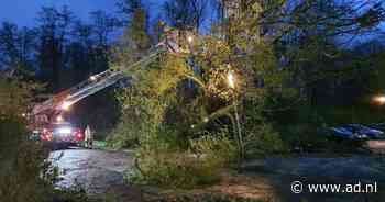 Windhoos laatste zetje voor boom, auto's op het nippertje weggehaald - AD.nl