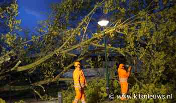 Boom valt op hekwerk van dierenweide Cuijk - Kliknieuws.nl