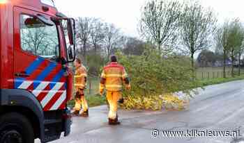 Boom waait om en belandt op de weg in Beugen - Kliknieuws.nl