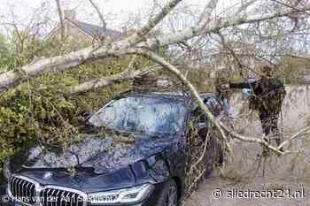 Boom waait om bij geparkeerde auto aan Waalstraat - Sliedrecht24