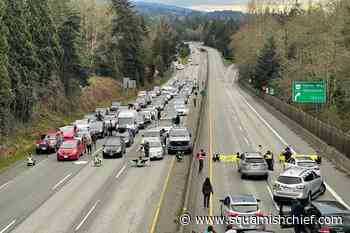 1.7M hectares of old-growth deferred, protesters block Highway 1 in West Van - Squamish Chief