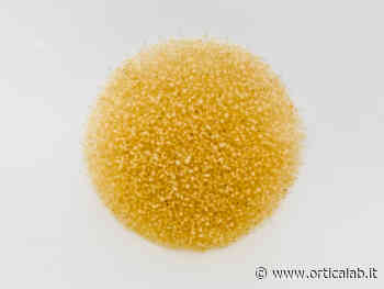 Lo Studio Trisorio inaugura una nuova sede a Capri - Orticalab