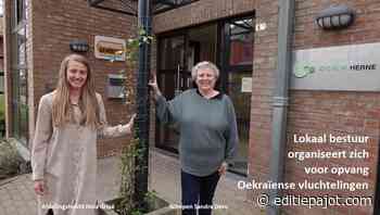 Herne - Lokaal bestuur organiseert zich voor opvang vluchtelingen - Editiepajot
