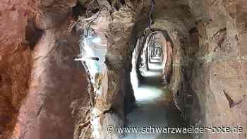 Ausflüge für Familien - Zehn Freizeittipps bei schlechtem Wetter im Kreis Calw - Schwarzwälder Bote