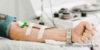 Luckenwalde: Aktion für Blutspenden zu Ostern - Märkische Allgemeine Zeitung