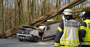 Nach Unfall: Sperrung der Paderborner Straße aufgehoben | Lokale Nachrichten aus Detmold - Lippische Landes-Zeitung
