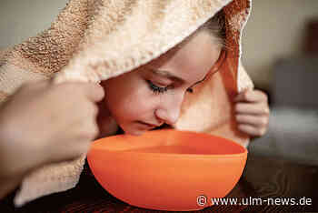 Allergiker-Hochsaison: Birkenpollen in der Luft