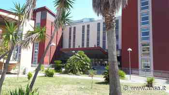 Furti a pazienti ospedale di Matera: un uomo denunciato - Agenzia ANSA