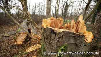 Sturm im Zollernalbkreis - Dach bei Aussiederhof teilweise abgedeckt - Schwarzwälder Bote