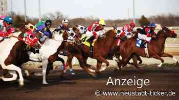 Die aktuelle Wetterlage in Dresden - Neustadt-Geflüster