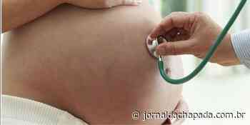 #Chapada: Debates e estudos clínicos colocam Itaberaba em destaque na atenção pré-natal e humanização do parto - Jornal da Chapada