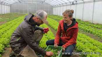 Ist solidarische Landwirtschaft die Zukunft der Versorgung?