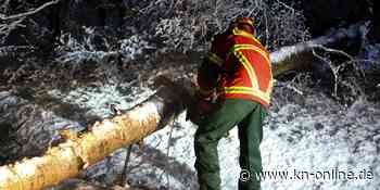 Schnee sorgt für Stromausfälle und umgestürzte Bäume im Nordwesten Bayerns