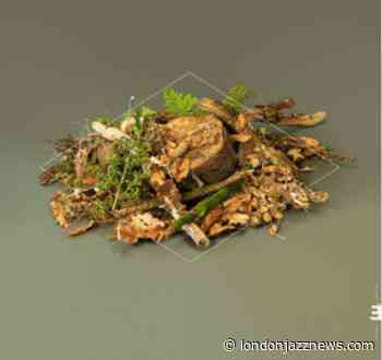 Fergus McCreadie – ‘Forest Floor’ - LondonJazz News