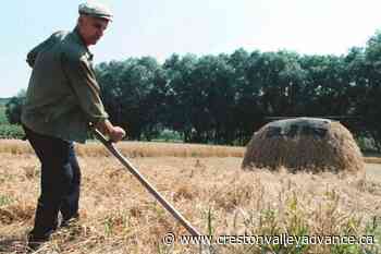 Food prices soar to record levels on Ukraine war disruptions - Creston Valley Advance