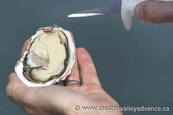 Union Bay Seafood brand Pacific oysters recalled due to norovirus risk - Creston Valley Advance