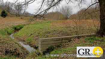 Ein Stauwerk an dieser Stelle soll Rötgesbüttel retten - Gifhorner Rundschau
