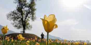 Höhere Temperaturen erwartet: Wetter wird wieder freundlicher
