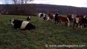 This Week in Agribusiness, April 9, 2022