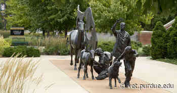 In Memory: Retired Veterinary Medical Library Staff Member Marilyn Rogers - Purdue University