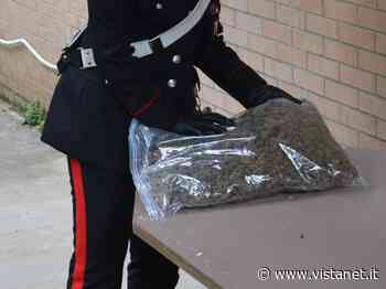 Armi e sette quintali di erba nel capannone: arrestato un 54enne - vistanet