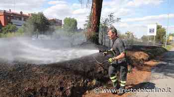 "Rischio incendi Tagliare l'erba" - il Resto del Carlino