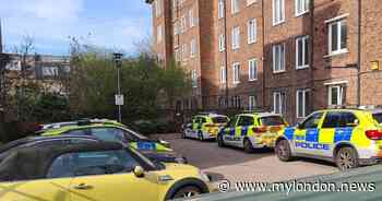 Hackney child rushed to hospital after dog attack - My London